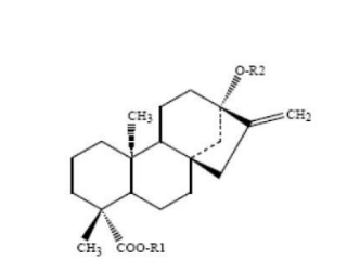 甜感香精(圖2) image.png